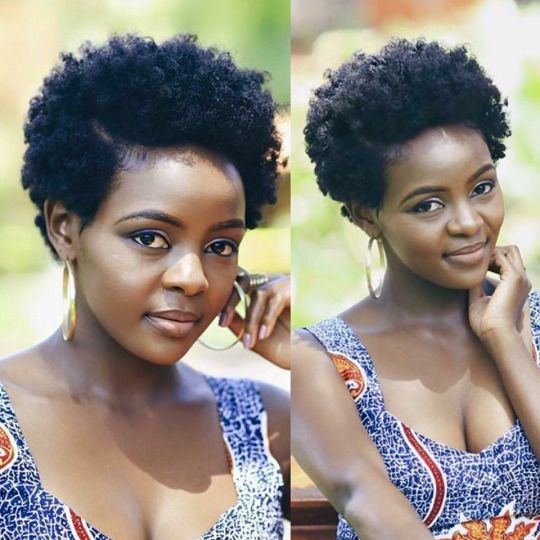 70+ Stunning Afro Hairstyles for 2024 (with pictures) - Sunika Magazine
