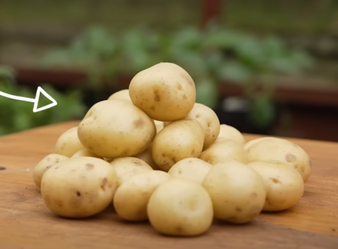 Potatoes Unveiled: The Hidden Calories in Different Potato Preparations
