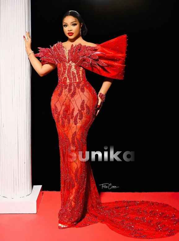 Red Fancy Sleeve Nigerian Lace Dress
