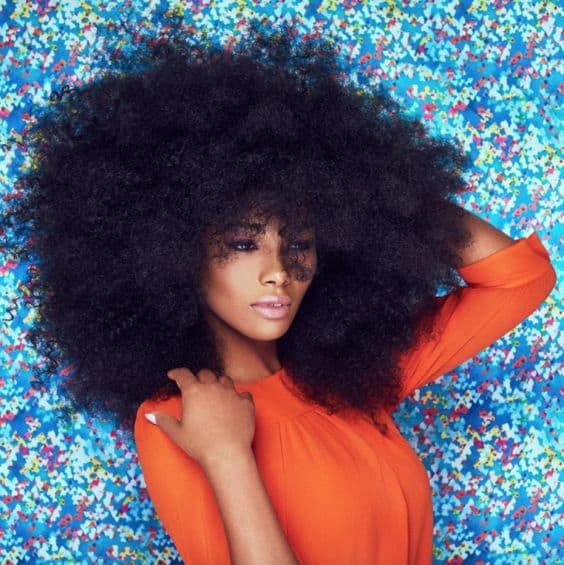 Stunning Afro Hairstyles to Try in 2023