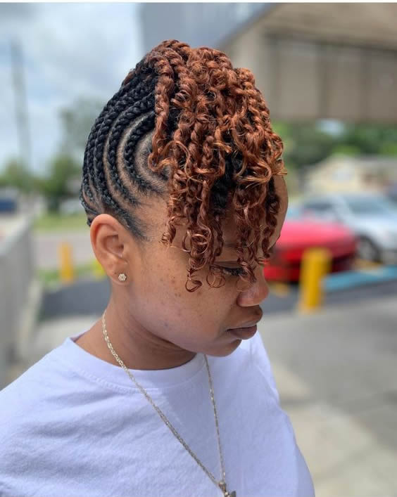 70+ Best Braided Hairstyles for Black Women