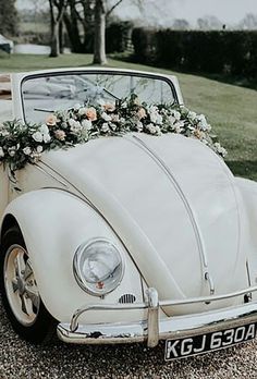 Beetle_car_decor.jpg - 21.83 kB