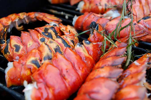 Grilled Lobster