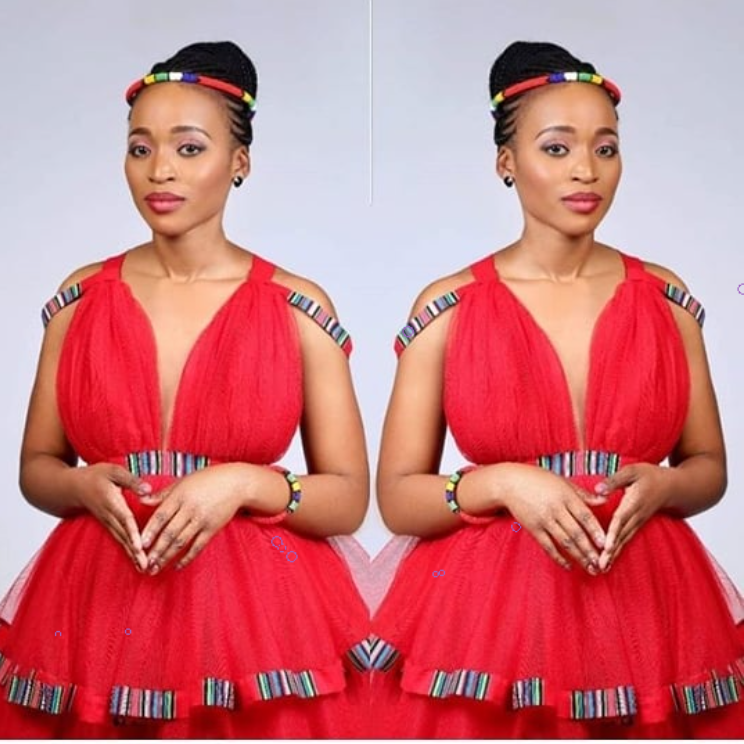 Red Venda Dress Tulle