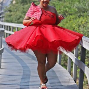 Rosen Dress with Shweshwe By Indoni Fashion House Rosen Dress with Shweshwae By Indoni Fashion House