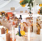 Mahlako-Royal-Events-Zebediela-Alberton